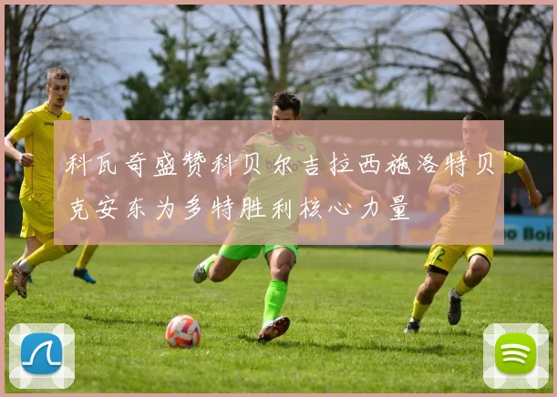 科瓦奇盛赞科贝尔吉拉西施洛特贝克安东为多特胜利核心力量