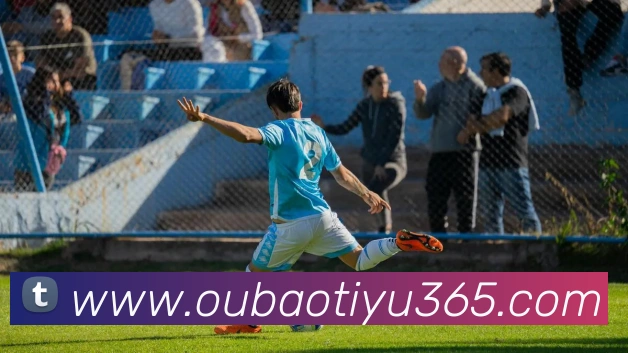 欧宝体育平台生态图