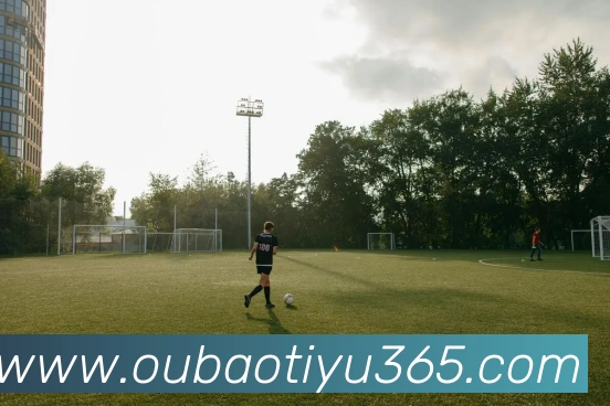 欧宝体育APP 封面图